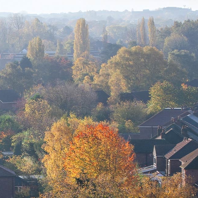 UK property market slows as the Autumn slump sets in